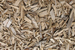 biomass boilers Dhustone