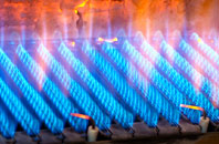 Dhustone gas fired boilers