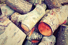 Dhustone wood burning boiler costs